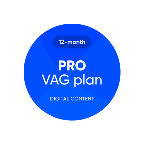 OBDeleven PRO VAG plan - 12 mdr. (Digitalt)