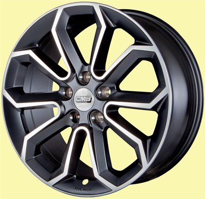 CMS C20 cms c20