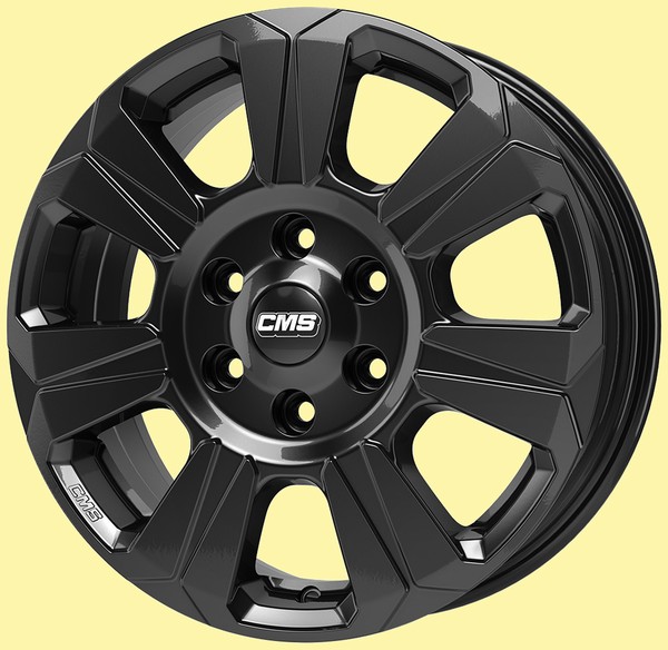 CMS C31 cms c31 sort