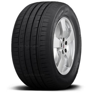 Minerva F209 205/55R16